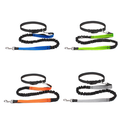 Adjustable Hands-Free Dog Leash with Waist Belt and Chest Strap for Walking, Running, and Jogging - Premium Pet Accessory